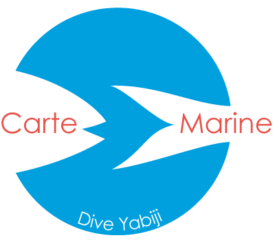 Carte Marine